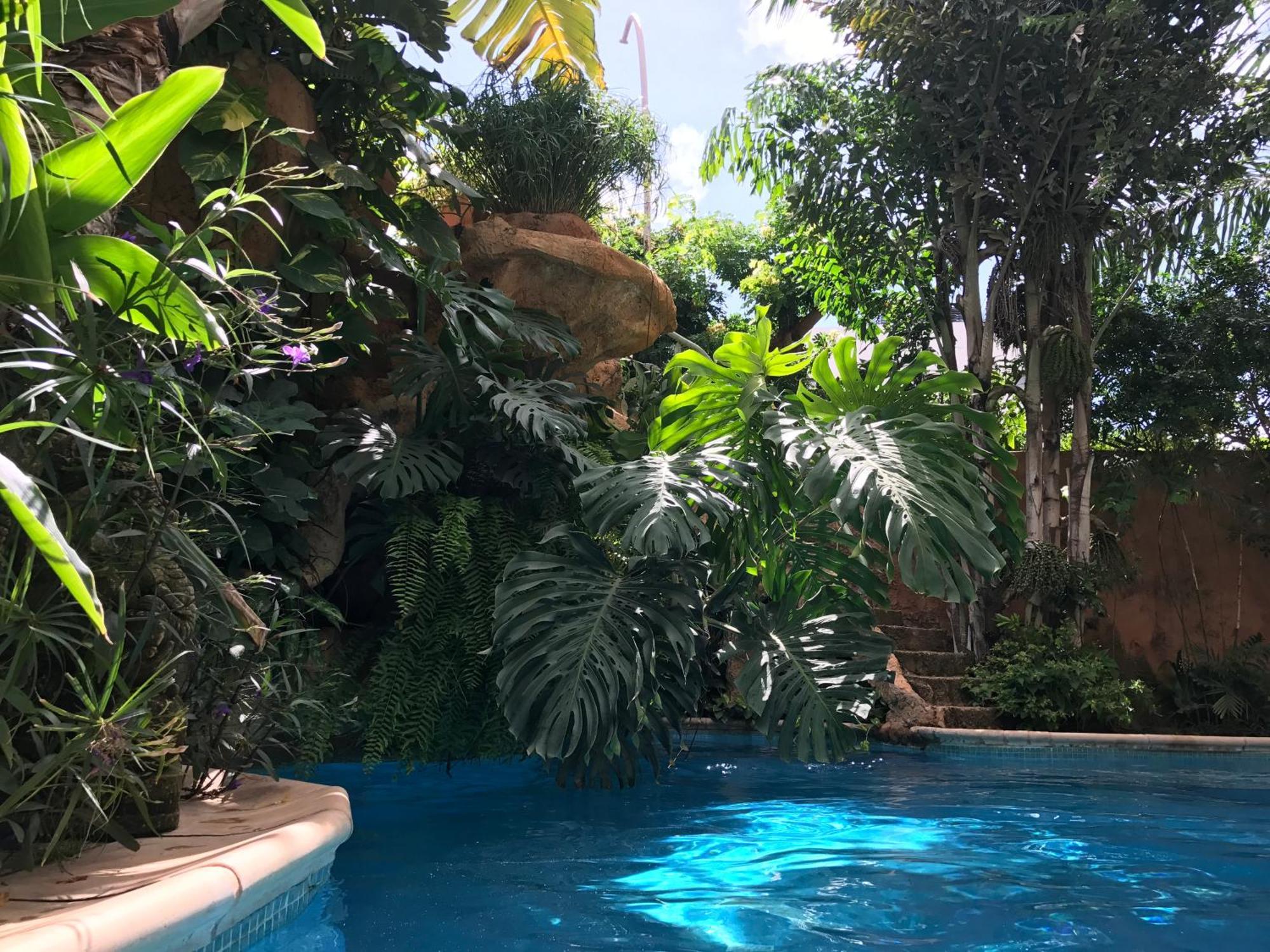 Апартаменты Tropical Oasis Ouakam Экстерьер фото